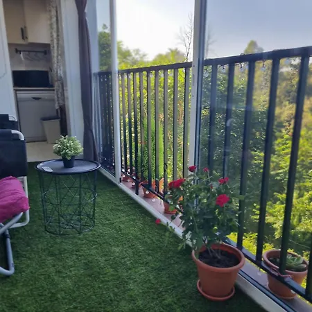 Buenas Vistas Apartment